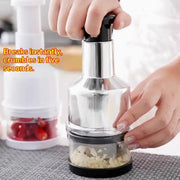Premium Stainless Steel Garlic Press & Mini Food Chopper